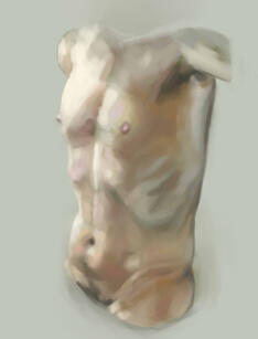 Body Study