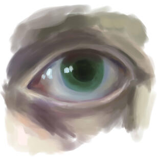 Eye Study