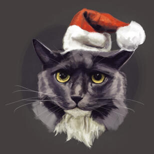 Santa Cat