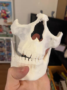 Skull Print